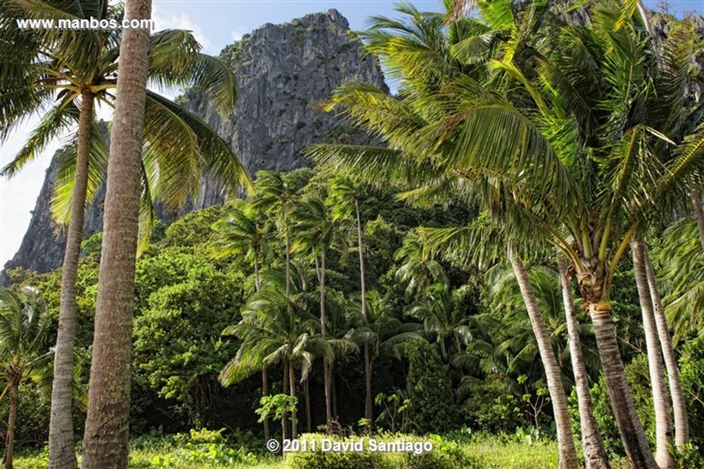 Palawan
Pinagbuyutan Island
Bacuit Archipielago