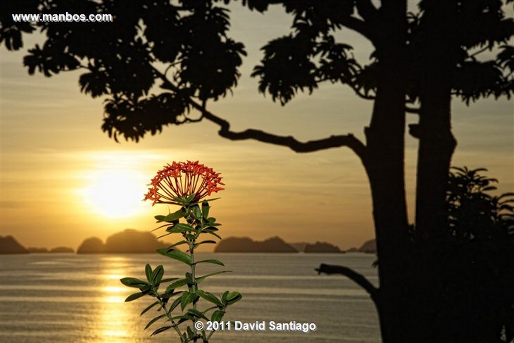 Palawan
Sunset In Palawan
Bacuit Archipielago