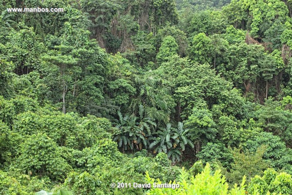 Palawan
Sabang Underground Riber
Bacuit Archipielago