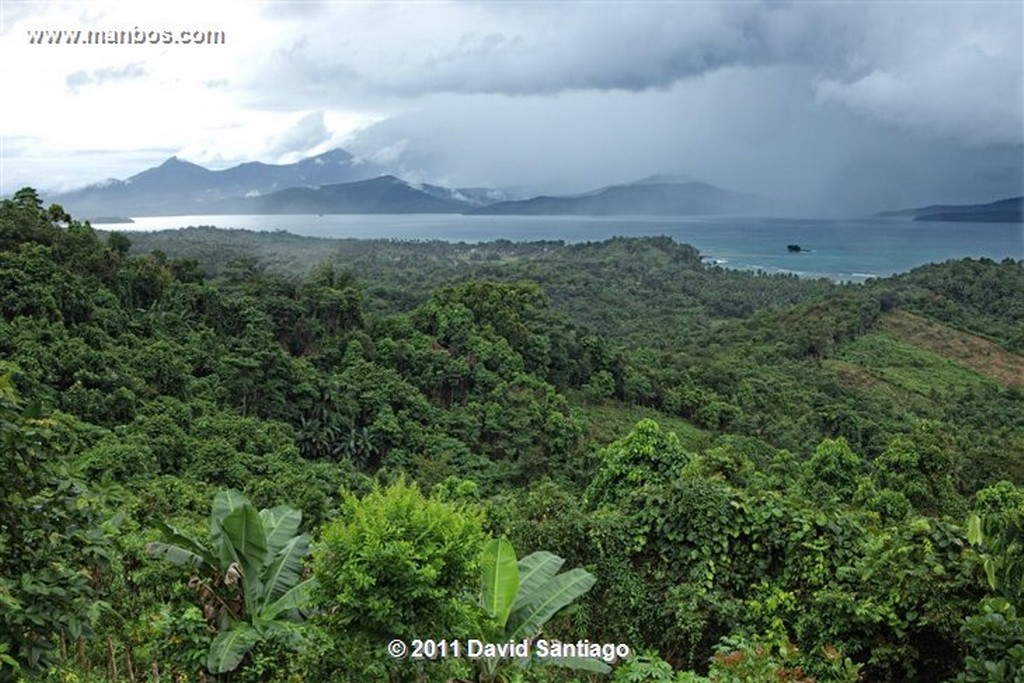 Palawan
Virgin Forest In Palawan
Bacuit Archipielago