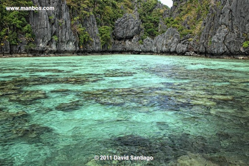 Palawan
Small Lagoon Island
Bacuit Archipielago