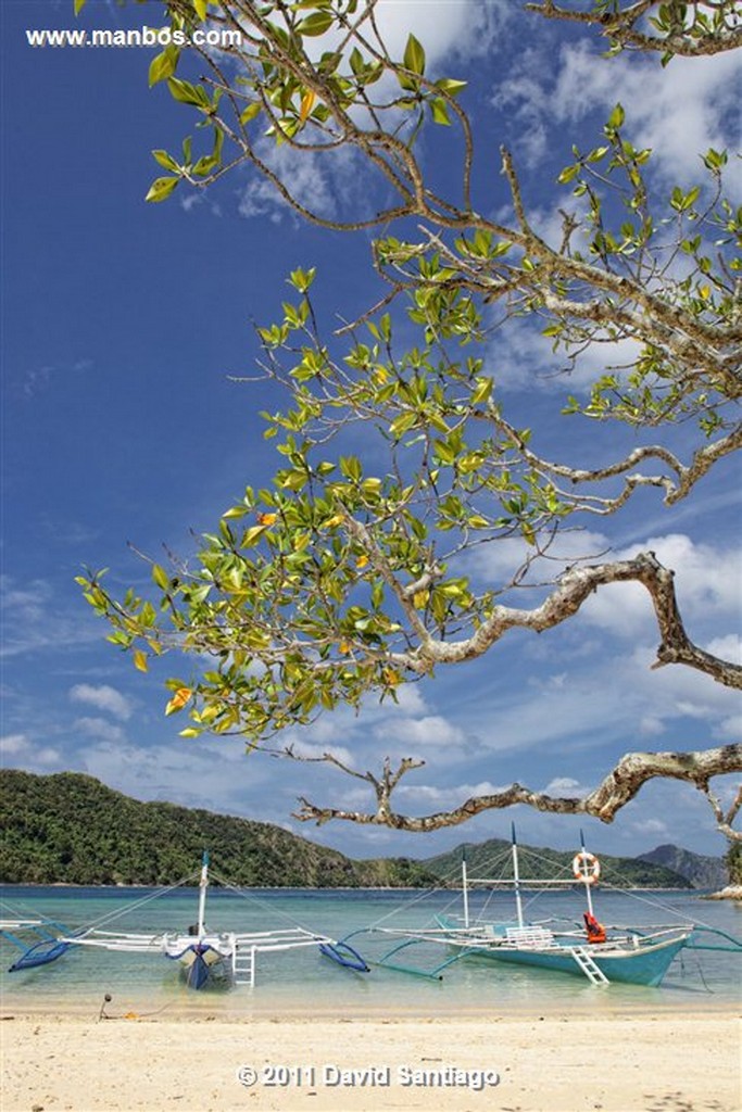 Palawan
Snake Island
Bacuit Archipielago