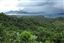 Palawan
Virgin Forest In Palawan
Bacuit Archipielago