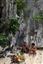 Palawan
Start Beach
Bacuit Archipielago