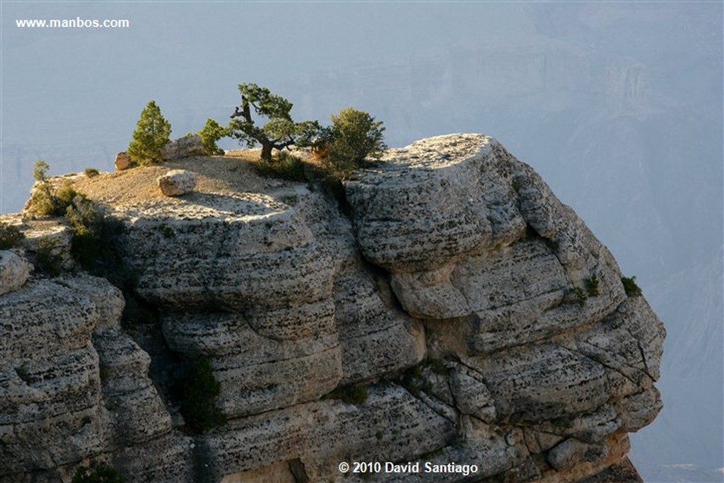 Gran Cañon
Gran Cañon del Colorado
Arizona