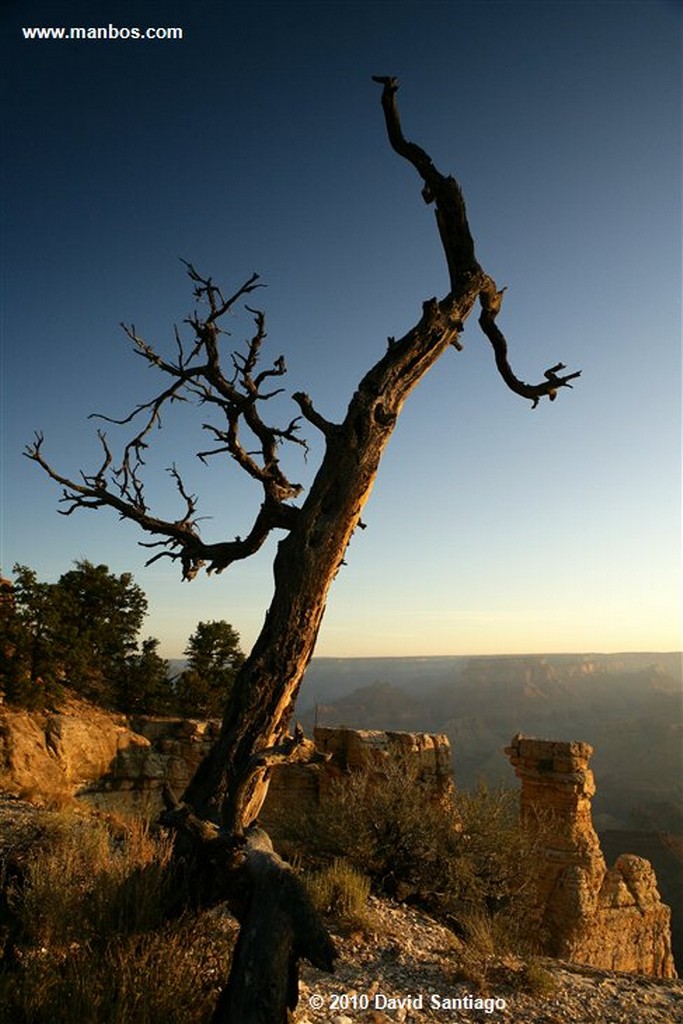 Gran Cañon
Gran Cañon del Colorado
Arizona