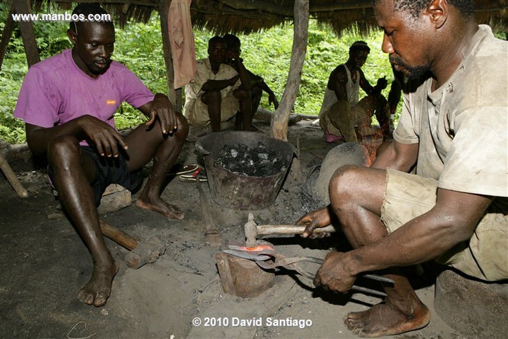 Islas Bijagos 
Ambuduco Parque Nacional Orango Bijagos Guinea Bissau 
Islas Bijagos 