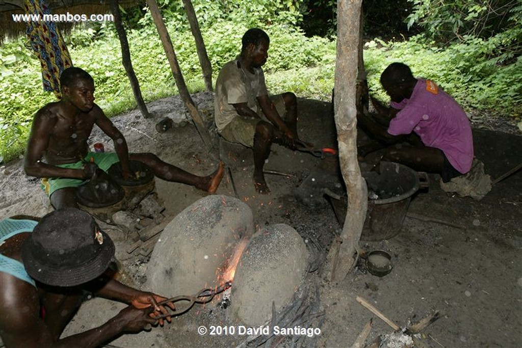 Islas Bijagos 
Ambuduco Parque Nacional Orango Bijagos Guinea Bissau 
Islas Bijagos 