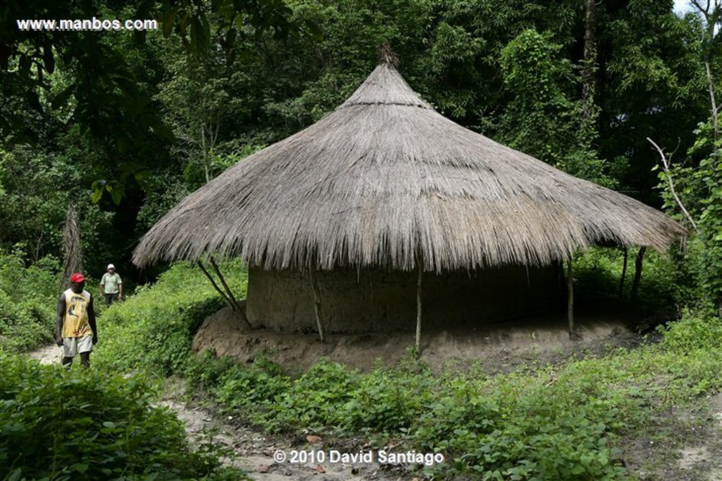 Islas Bijagos 
Ambuduco Parque Nacional Orango Bijagos Guinea Bissau 
Islas Bijagos 