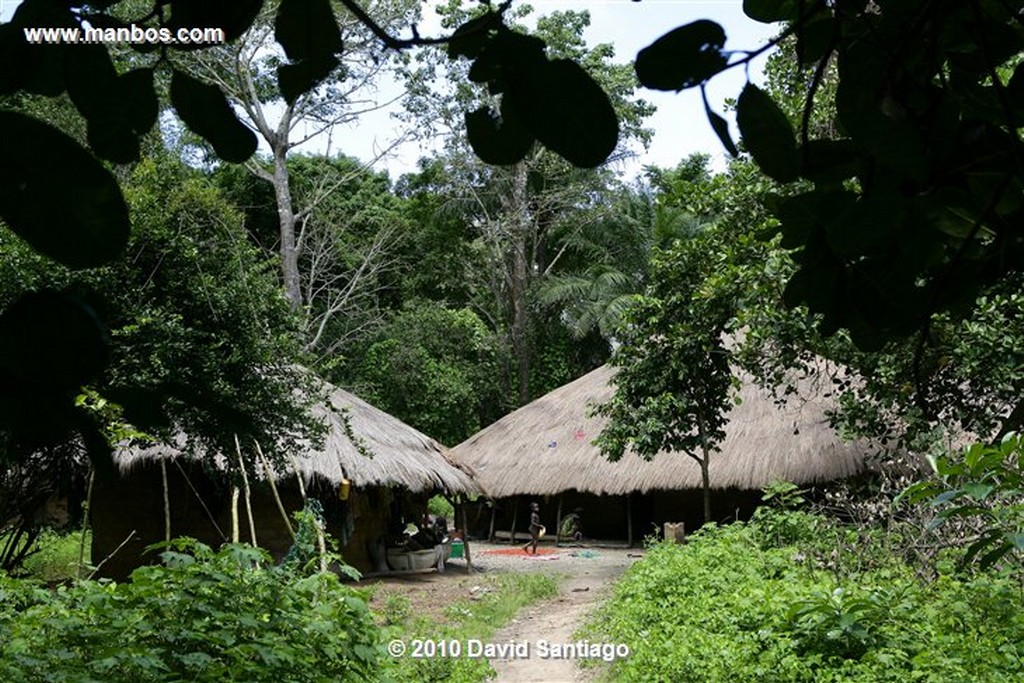 Islas Bijagos 
Ambuduco Parque Nacional Orango Bijagos Guinea Bissau 
Islas Bijagos 