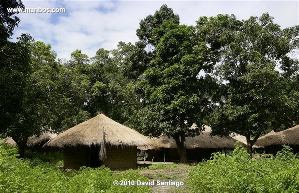 Islas Bijagos 
Ambuduco Parque Nacional Orango Bijagos Guinea Bissau 
Islas Bijagos 