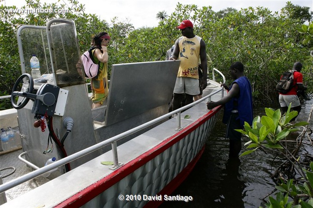 Islas Bijagos 
Camino A la Laguna de Anor P n Orango Poilao Bijagos Guinea Bissau 
Islas Bijagos 