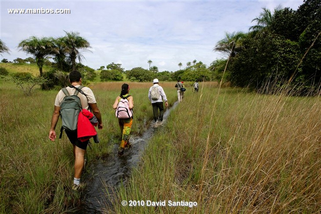 Islas Bijagos 
Camino Parque Nacional Orango Grande Bijagos Guinea Bissau 
Islas Bijagos 