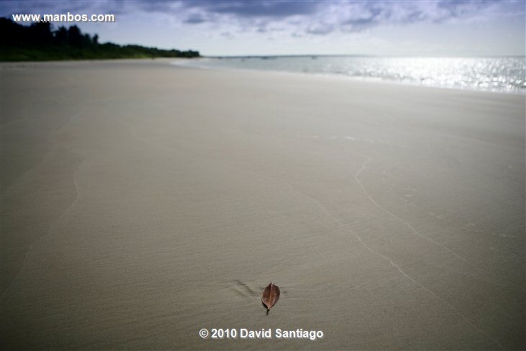 Islas Bijagos 
Caravela Archipielago Bijagos Guinea Bissau 
Islas Bijagos 