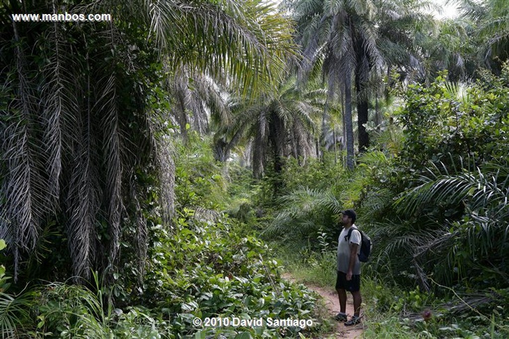 Islas Bijagos 
Caravela Archipielago Bijagos Guinea Bissau 
Islas Bijagos 