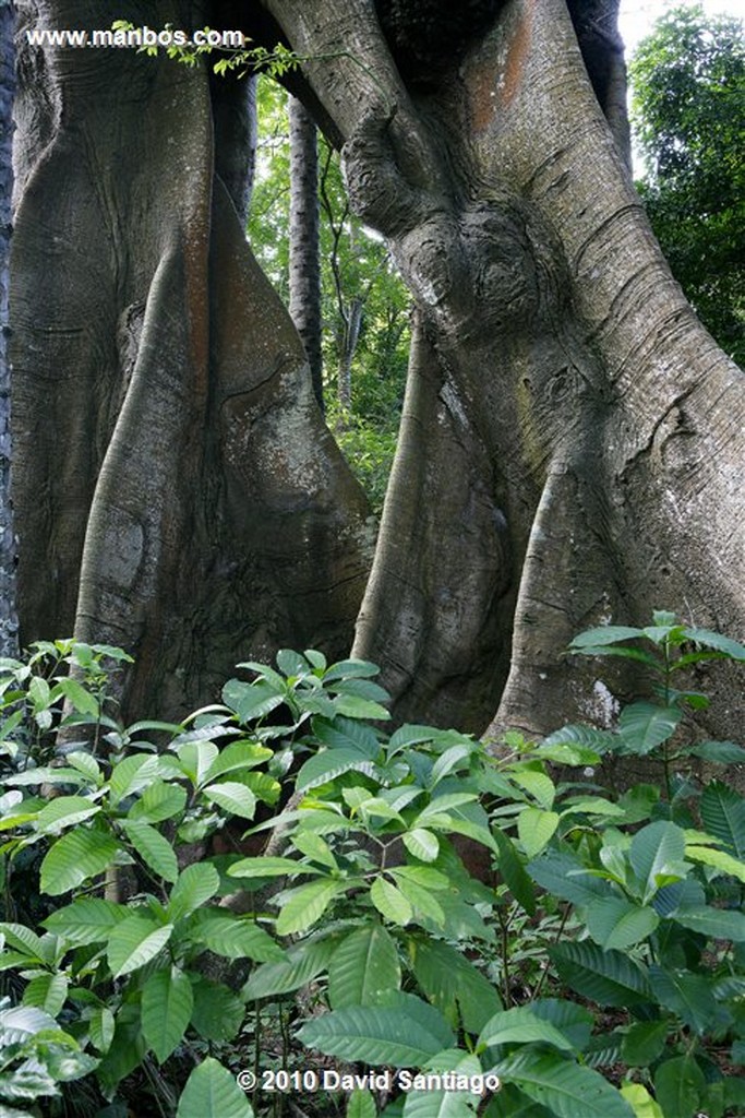 Islas Bijagos 
Caravela Archipielago Bijagos Guinea Bissau 
Islas Bijagos 