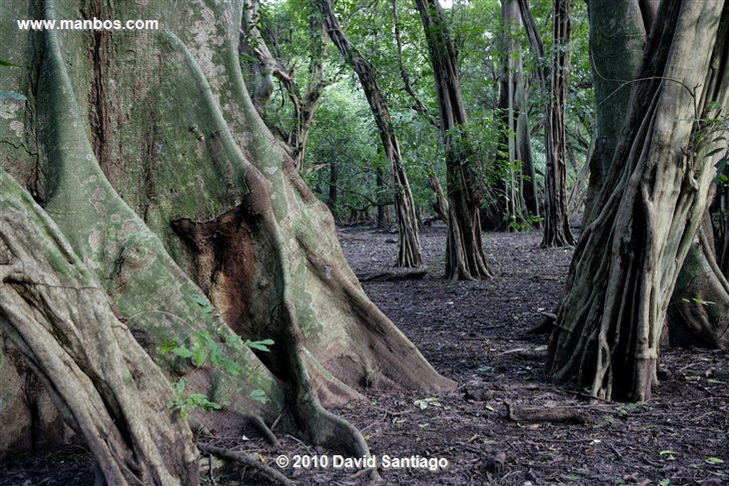 Islas Bijagos 
Caravela Archipielago Bijagos Guinea Bissau 
Islas Bijagos 