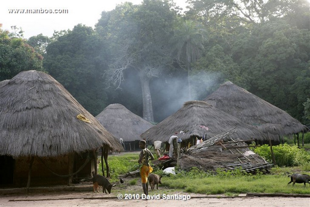 Islas Bijagos 
Caravela Archipielago Bijagos Guinea Bissau 
Islas Bijagos 