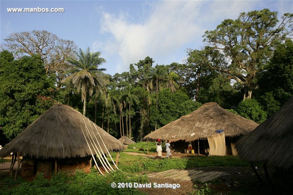 Islas Bijagos 
Caravela Archipielago Bijagos Guinea Bissau 
Islas Bijagos 