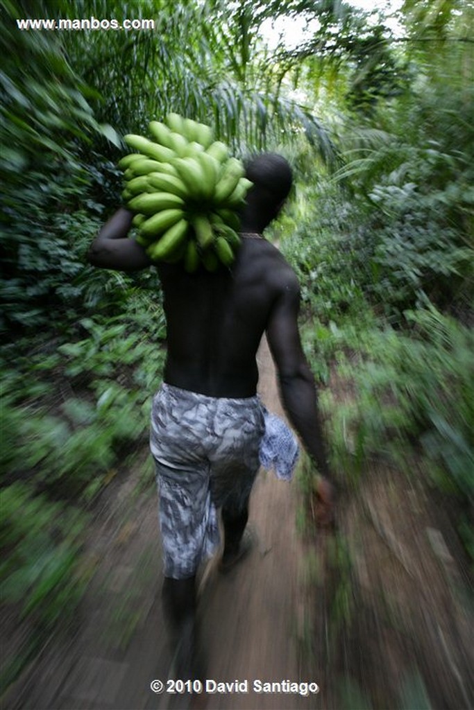 Islas Bijagos 
Casamiento P n Orango Poilao Bijagos Guinea Bissau 
Islas Bijagos 