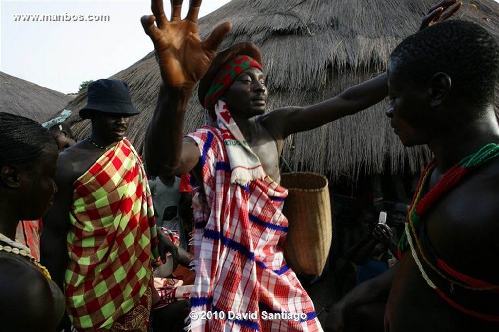 Islas Bijagos 
Ceibas P n Orango Poilao Bijagos Guinea Bissau 
Islas Bijagos 