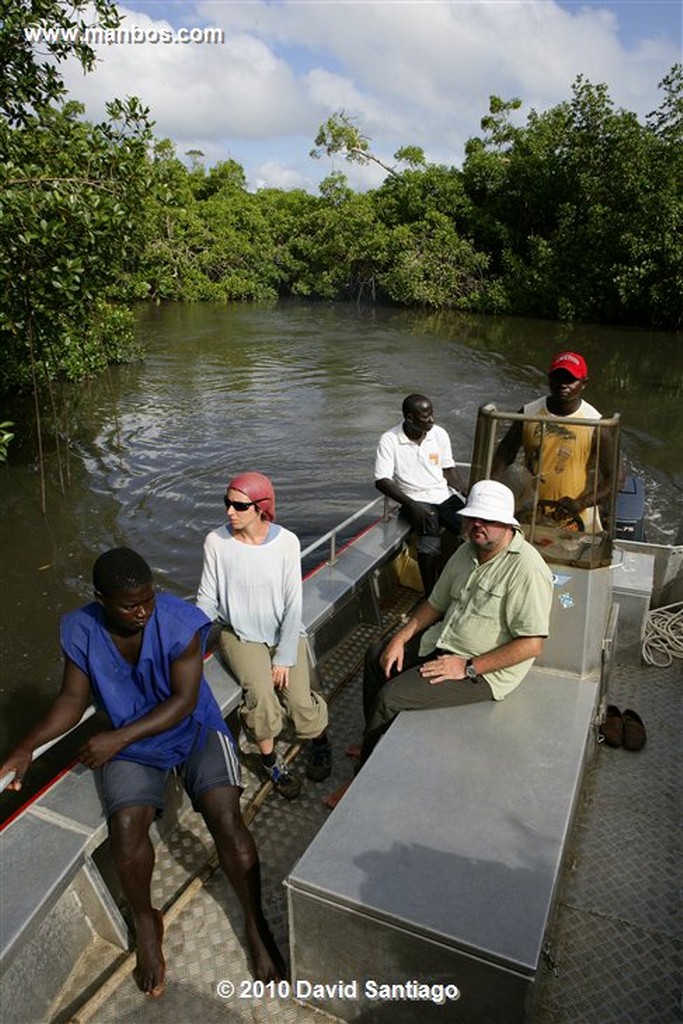 Islas Bijagos 
Desembarcos P n Orango Guinea Bissau 
Islas Bijagos 