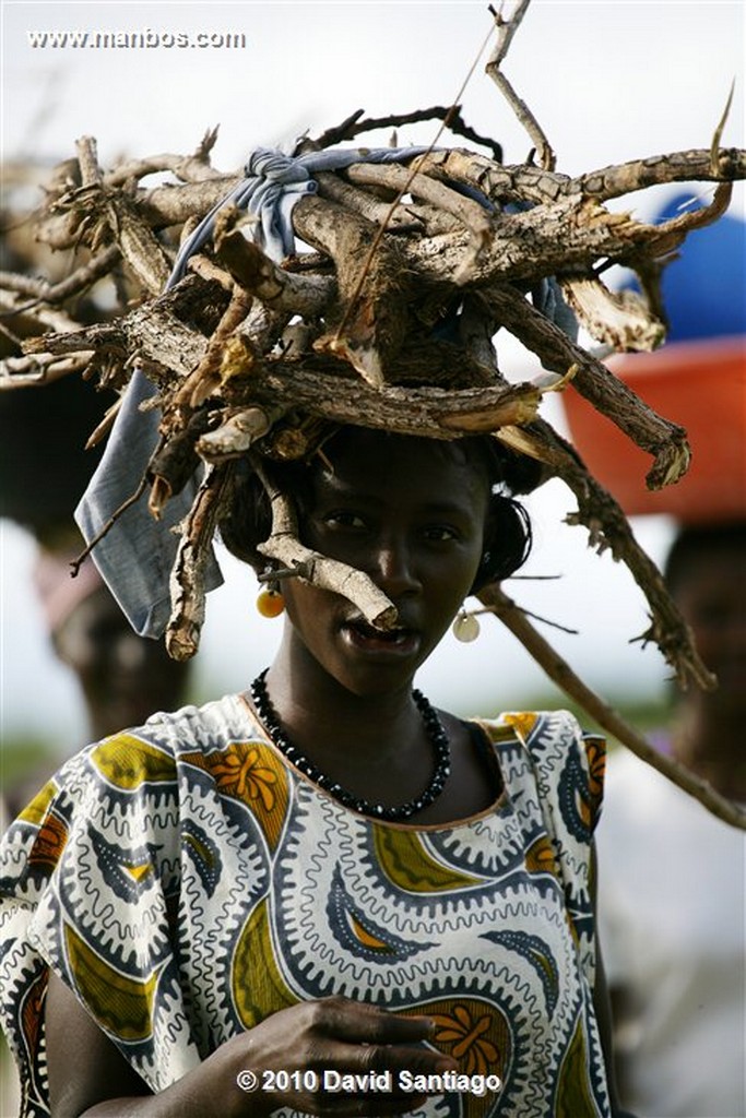 Islas Bijagos 
Eticoga Orango Guinea Bissau 
Islas Bijagos 