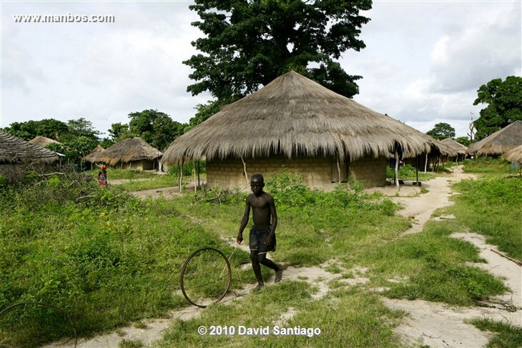 Islas Bijagos 
Flamenco P n Orango Guinea Bissau 
Islas Bijagos 