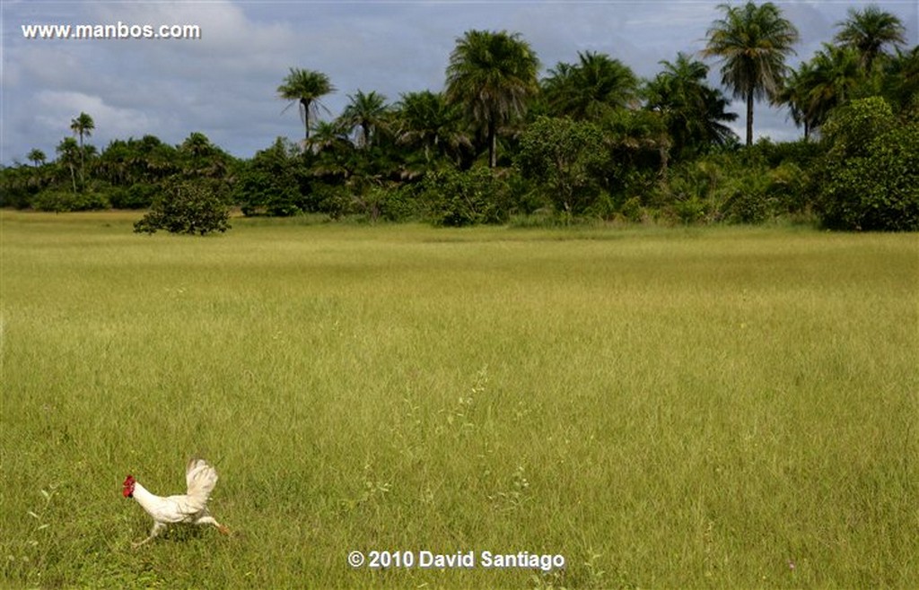 Islas Bijagos 
Kere Archipielago Bijagos Guinea Bissau 
Islas Bijagos 