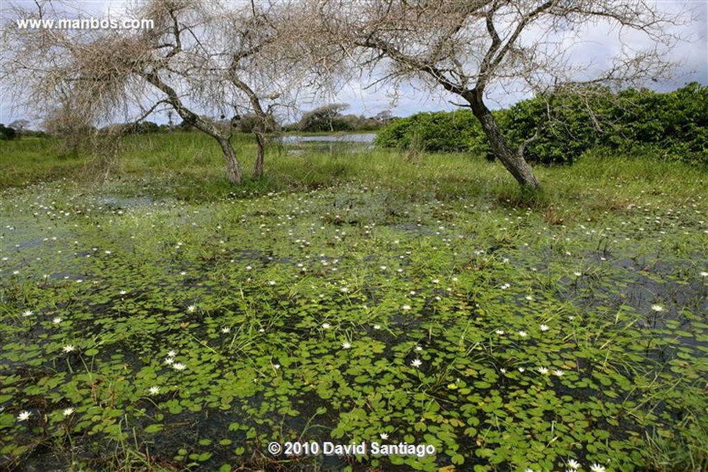 Islas Bijagos 
Laguna de Anor P n Orango Archipielago Bijagos Guinea Bissau 
Islas Bijagos 