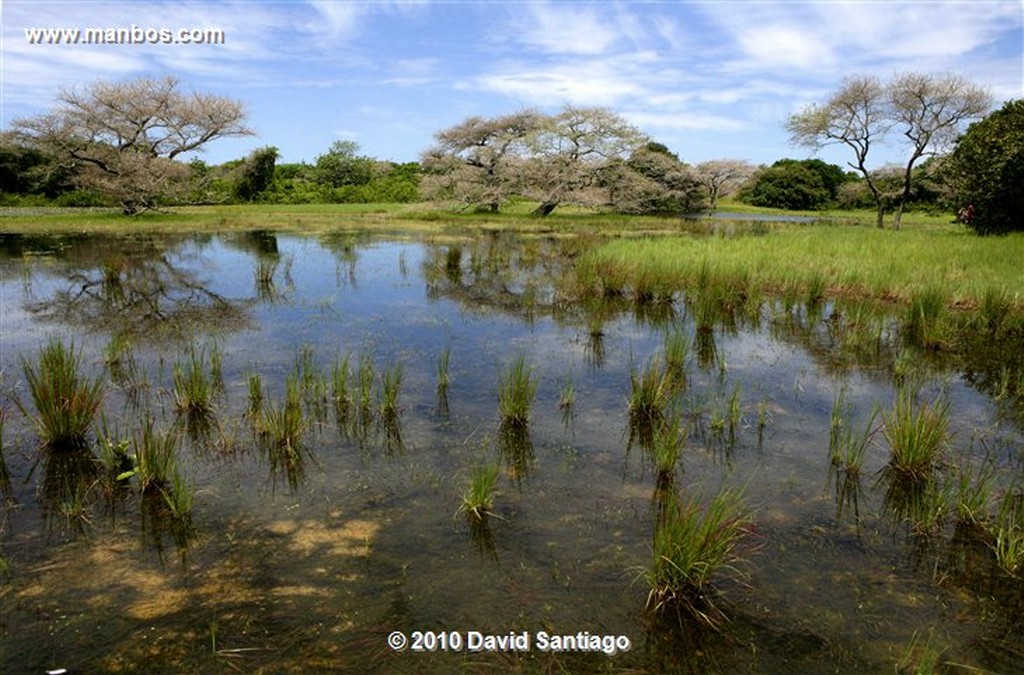 Islas Bijagos 
Laguna de Anor P n Orango Archipielago Bijagos Guinea Bissau 
Islas Bijagos 