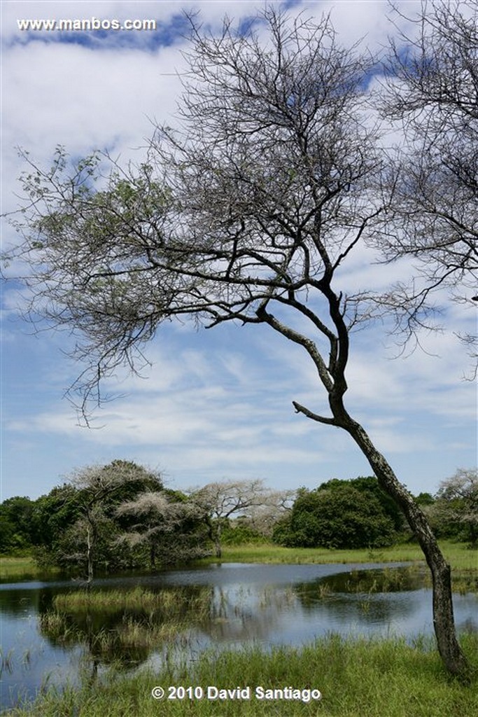 Islas Bijagos 
Laguna de Anor P n Orango Archipielago Bijagos Guinea Bissau 
Islas Bijagos 