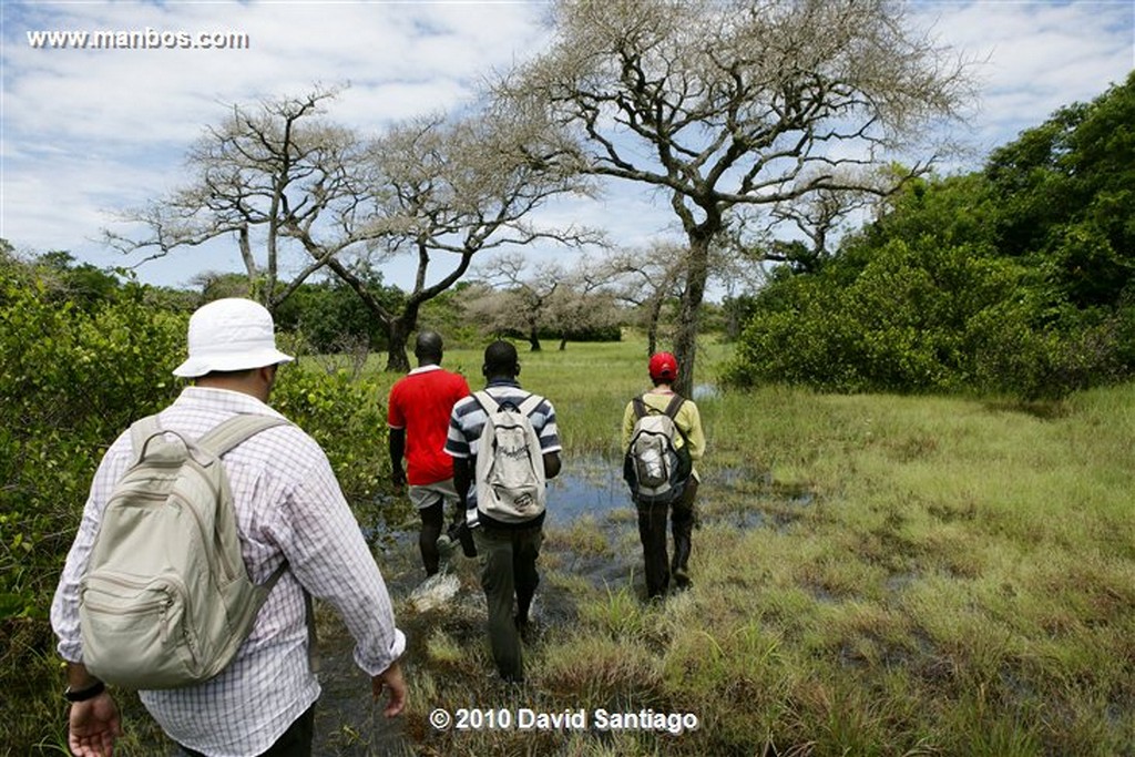 Islas Bijagos 
Laguna de Anor P n Orango Poilao Bijagos Guinea Bissau 
Islas Bijagos 