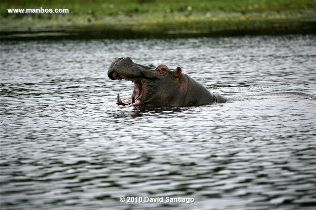 Islas Bijagos 
Laguna de Anor P n Orango Poilao Bijagos Guinea Bissau 
Islas Bijagos 