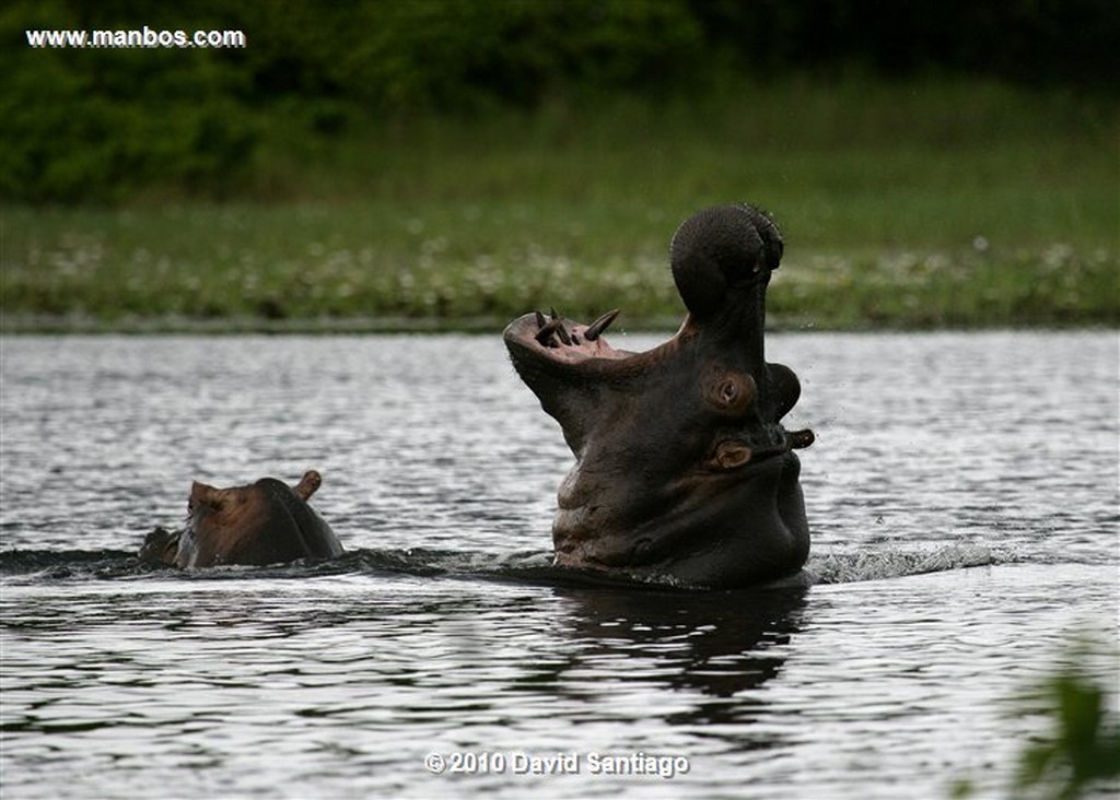 Islas Bijagos 
Laguna de Anor P n Orango Poilao Bijagos Guinea Bissau 
Islas Bijagos 