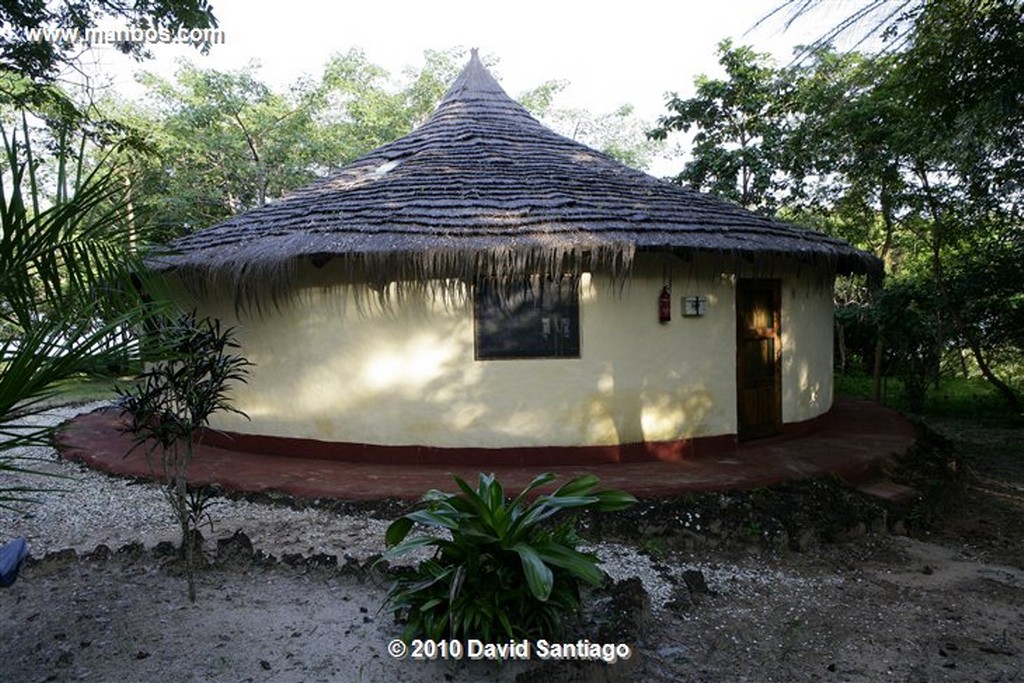 Islas Bijagos 
Orango Parque Hotel Parque Nacional Orango Bijagos Guinea Bissau 
Islas Bijagos 