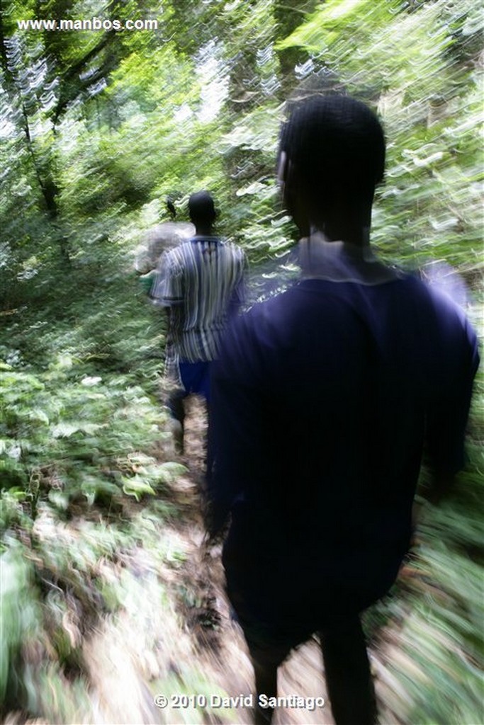 Islas Bijagos 
Parque Nacional Joao Vieira Poilao Bijagos Guinea Bissau 
Islas Bijagos 