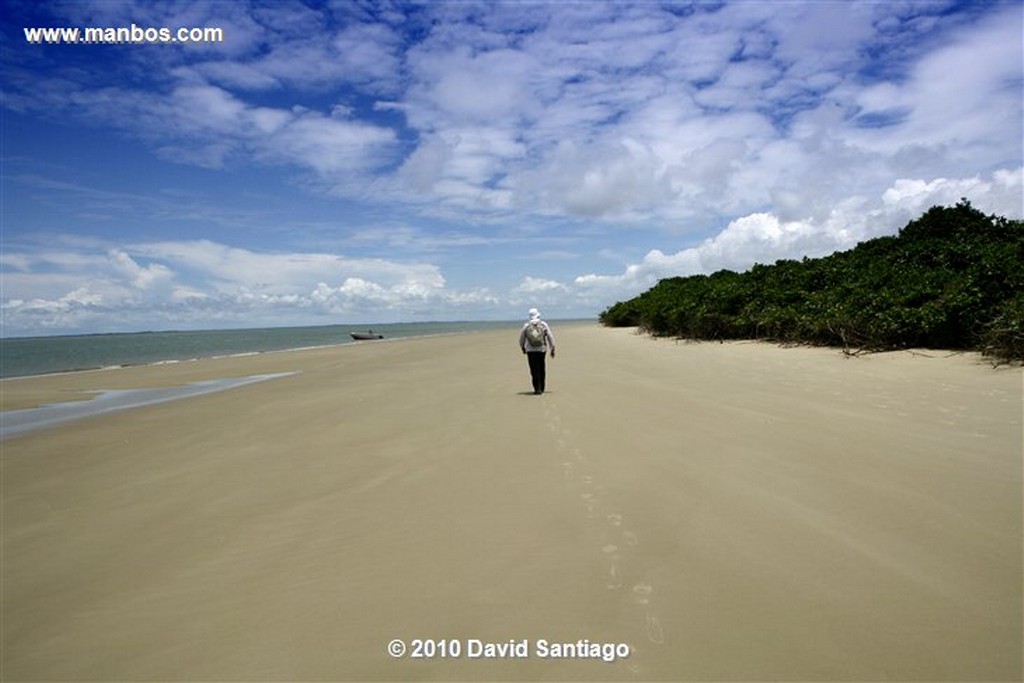 Islas Bijagos 
Playa de Amudo Parque Nacional Orango Grande Bijagos Guinea Bissau 
Islas Bijagos 