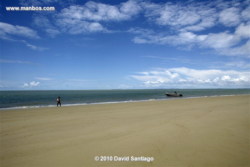 Islas Bijagos 
Playa de Amudo Parque Nacional Orango Grande Bijagos Guinea Bissau 
Islas Bijagos 