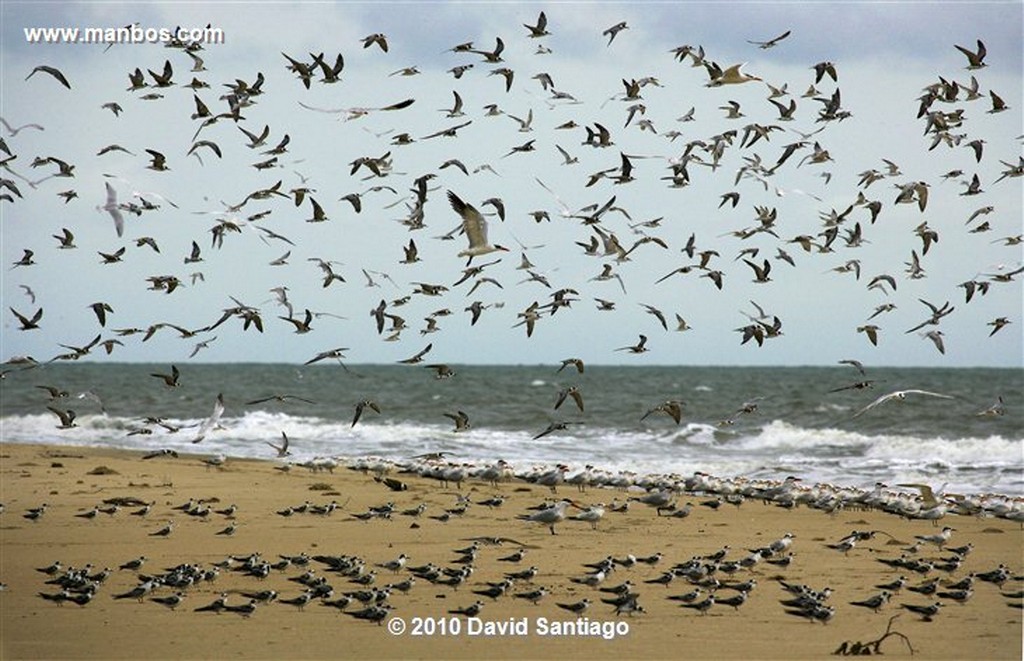 Islas Bijagos 
Playa de Eticoga Parque Nacional Orango Grande Bijagos Guinea Bissau 
Islas Bijagos 