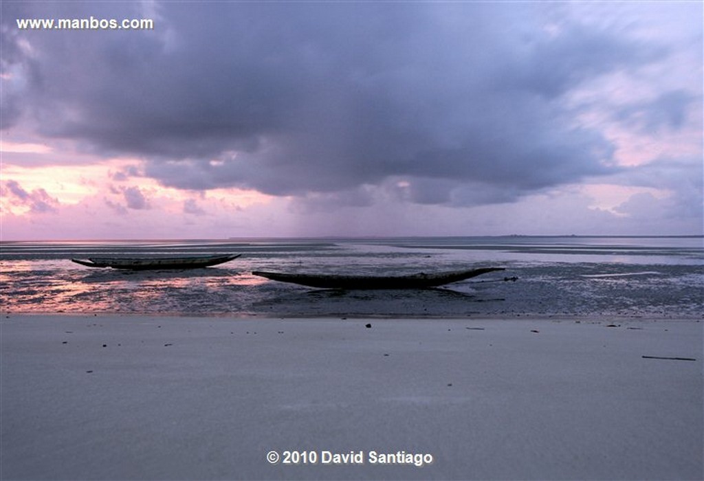 Islas Bijagos 
Playa de Eticoga Parque Nacional Orango Grande Bijagos Guinea Bissau 
Islas Bijagos 