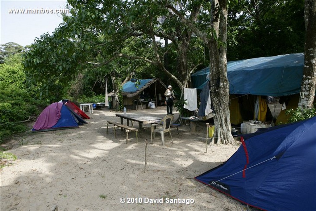 Islas Bijagos 
Poilao Parque Nacional Joao Vieira Poilao Bijagos Guinea Bissau 
Islas Bijagos 