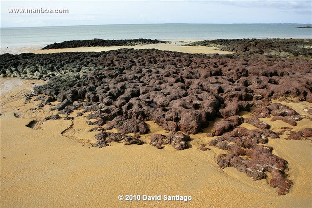 Islas Bijagos 
Poilao Parque Nacional Joao Vieira Poilao Bijagos Guinea Bissau 
Islas Bijagos 