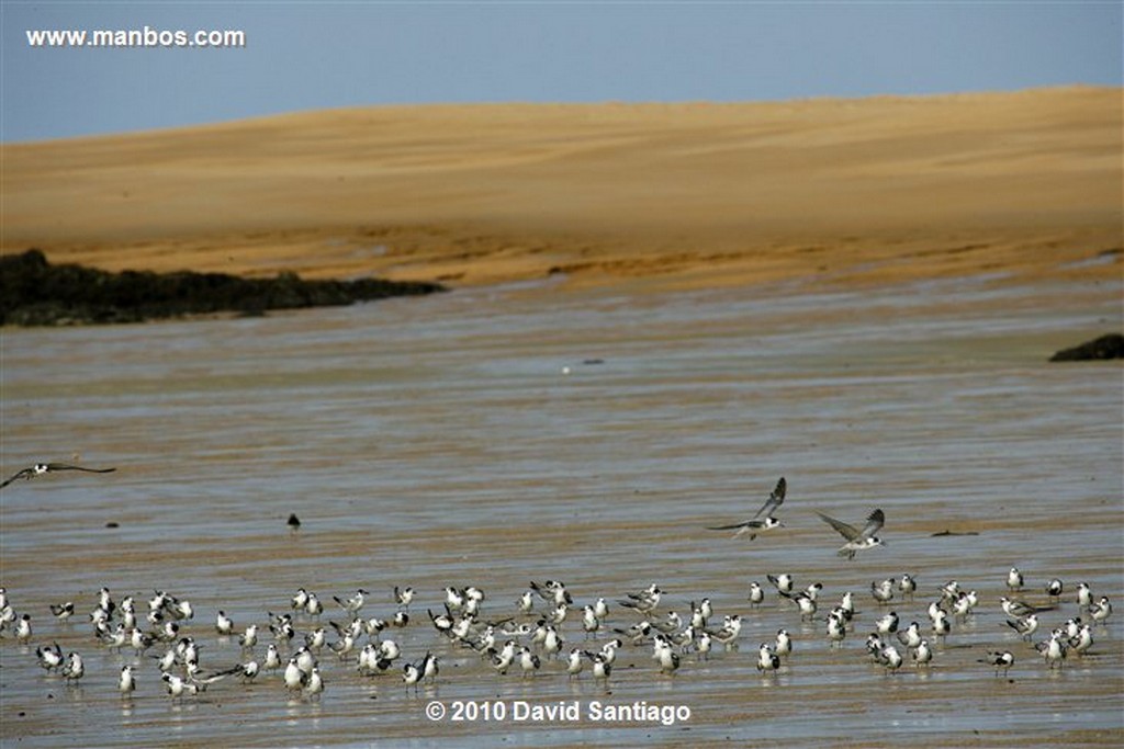 Islas Bijagos 
Poilao Parque Nacional Joao Vieira Poilao Bijagos Guinea Bissau 
Islas Bijagos 