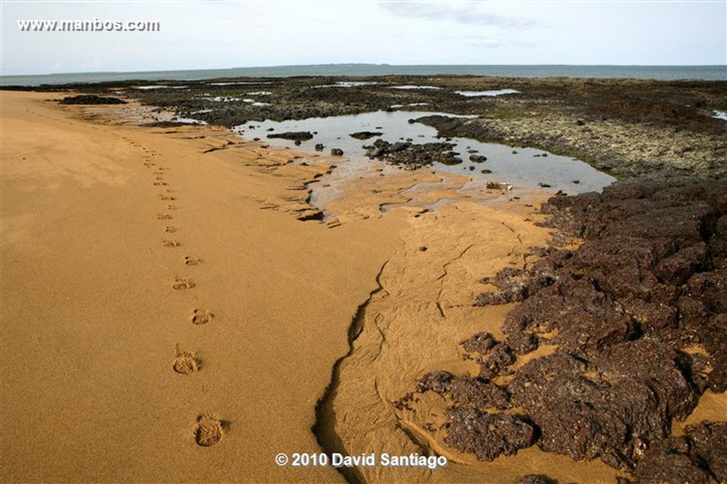 Islas Bijagos 
Poilao Parque Nacional Joao Vieira Poilao Bijagos Guinea Bissau 
Islas Bijagos 