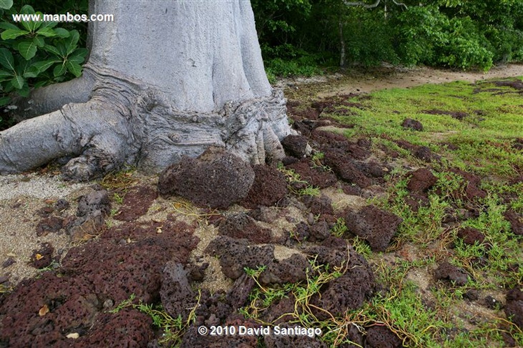 Islas Bijagos 
Poilao Parque Nacional Joao Vieira Poilao Bijagos Guinea Bissau 
Islas Bijagos 