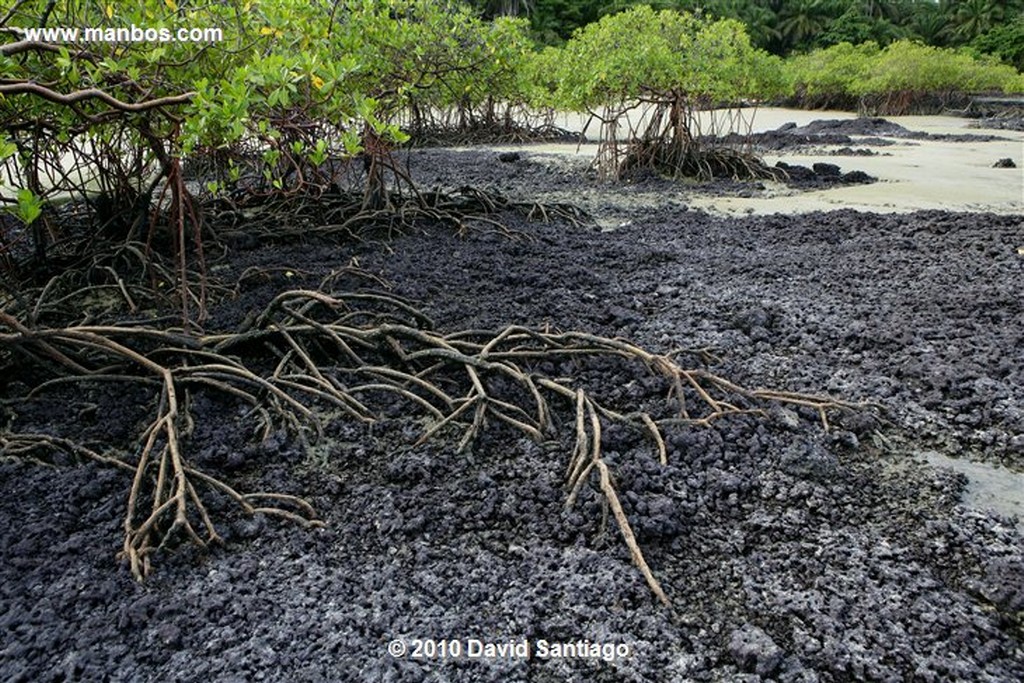 Islas Bijagos 
Poilao Parque Nacional Joao Vieira Poilao Bijagos Guinea Bissau 
Islas Bijagos 