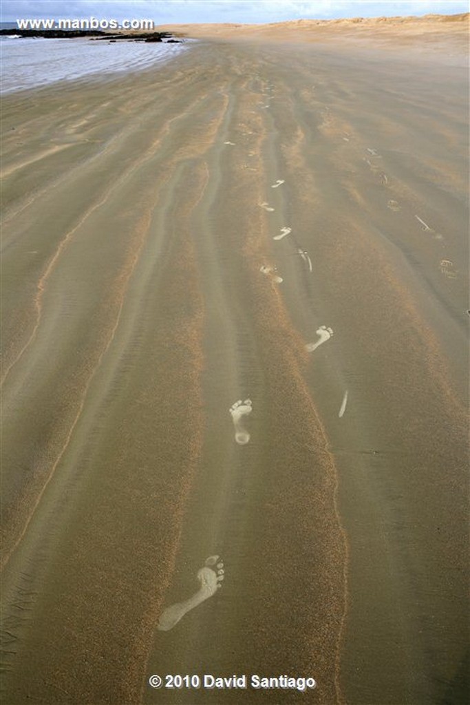 Islas Bijagos 
Poilao Parque Nacional Joao Vieira Poilao Bijagos Guinea Bissau 
Islas Bijagos 