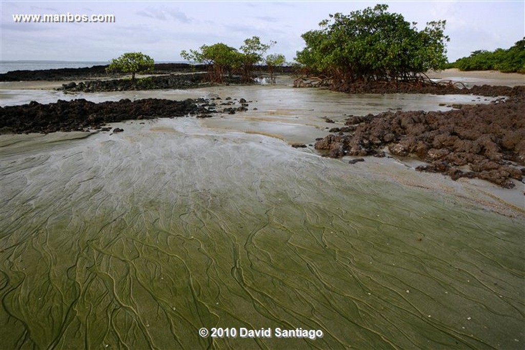 Islas Bijagos 
Poilao Parque Nacional Joao Vieira Poilao Bijagos Guinea Bissau 
Islas Bijagos 