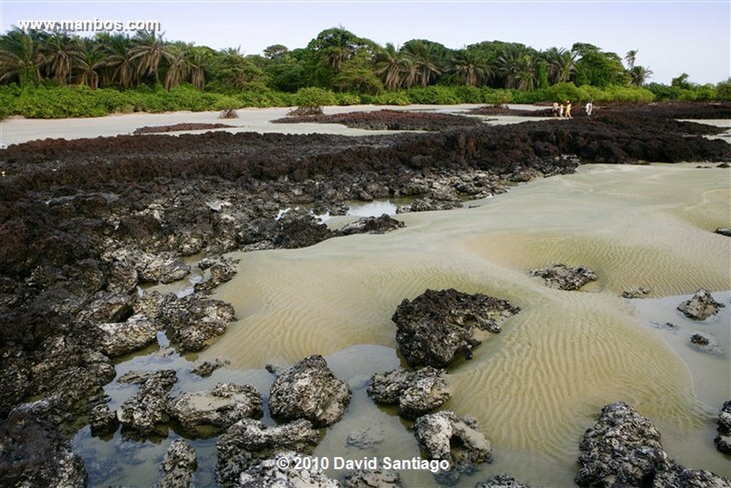 Islas Bijagos 
Poilao Parque Nacional Joao Vieira Poilao Bijagos Guinea Bissau 
Islas Bijagos 